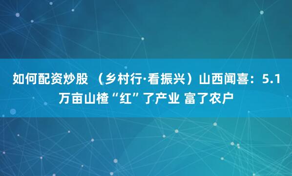 如何配资炒股 （乡村行·看振兴）山西闻喜：5.1万亩山楂“红”了产业 富了农户