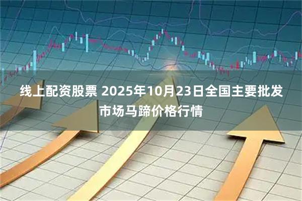 线上配资股票 2025年10月23日全国主要批发市场马蹄价格行情